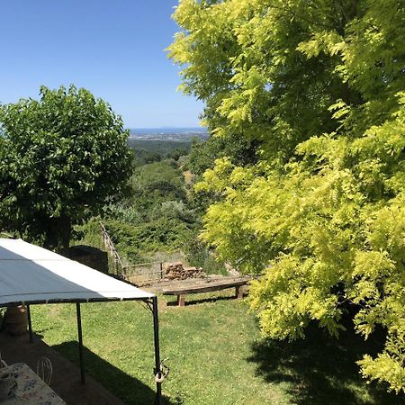 גוארדיסטאלו Haus Malerin - Meerblick, Umzaeunter Garten By Toscanatour מראה חיצוני תמונה